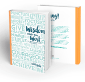 wisdom-while-you-work
