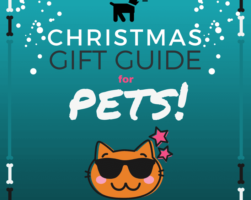 Christmas gift guide for pets 2015