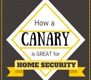 Canary home security review