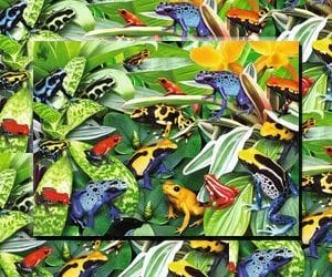 Friendly Frogs jigsaw review