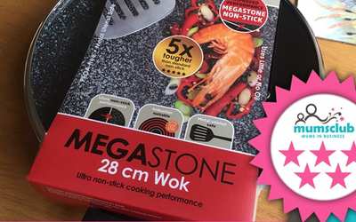 Salter Megastone review