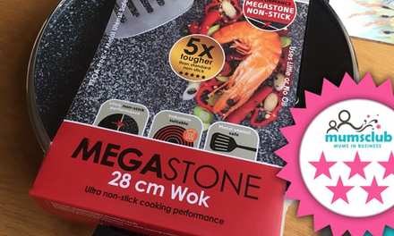 Salter Megastone review