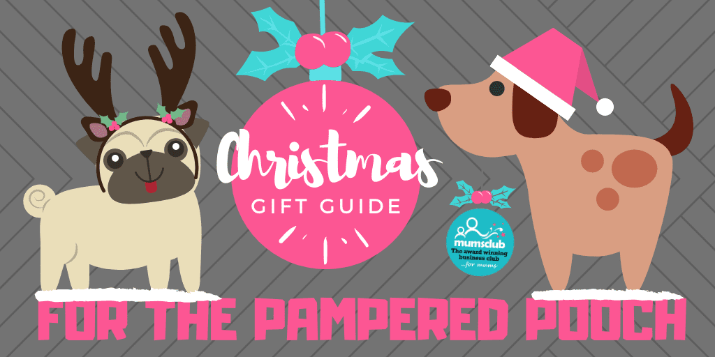 Christmas Gifts for Pets