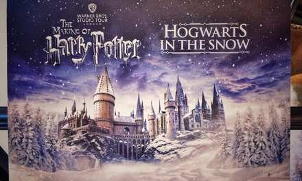 Hogwarts in the Snow 2019