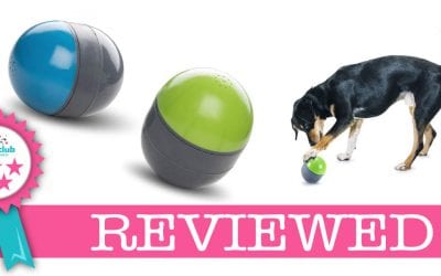 Ricochet Electronic Dog Toy Review