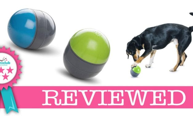 Ricochet Electronic Dog Toy Review